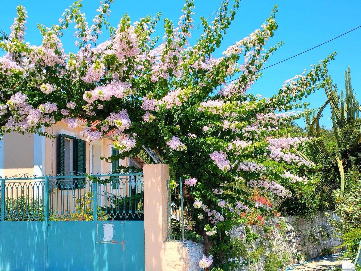 Sweet Of Kefalonia 度假居 *